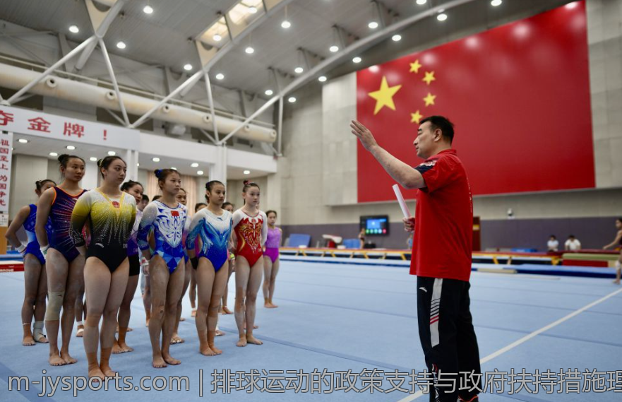 排球运动的政策支持与政府扶持措施理解