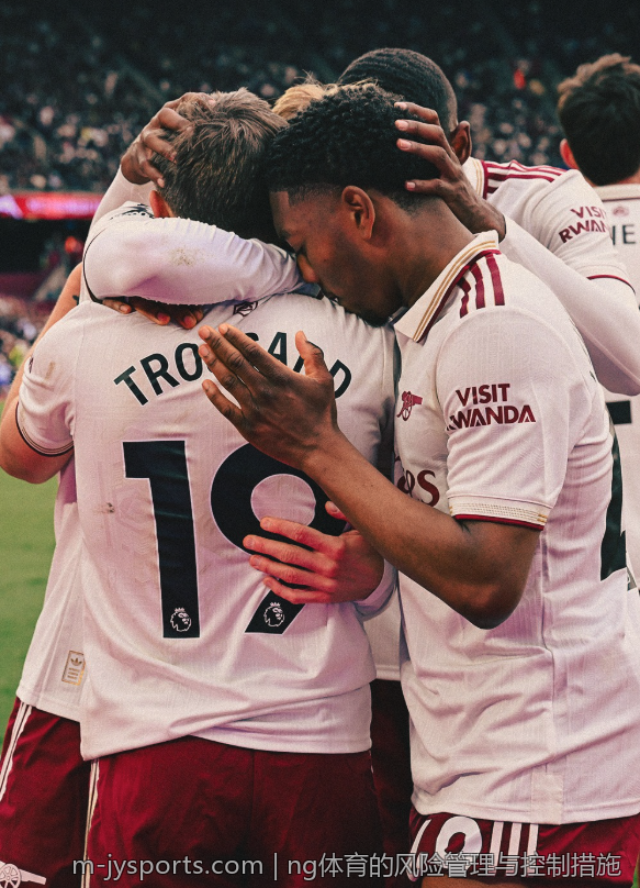 ng体育的风险管理与控制措施